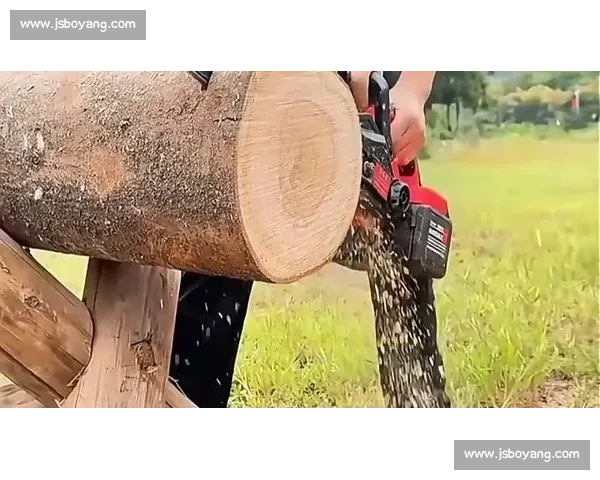 国外高效伐木:技术如何做到省时省力?